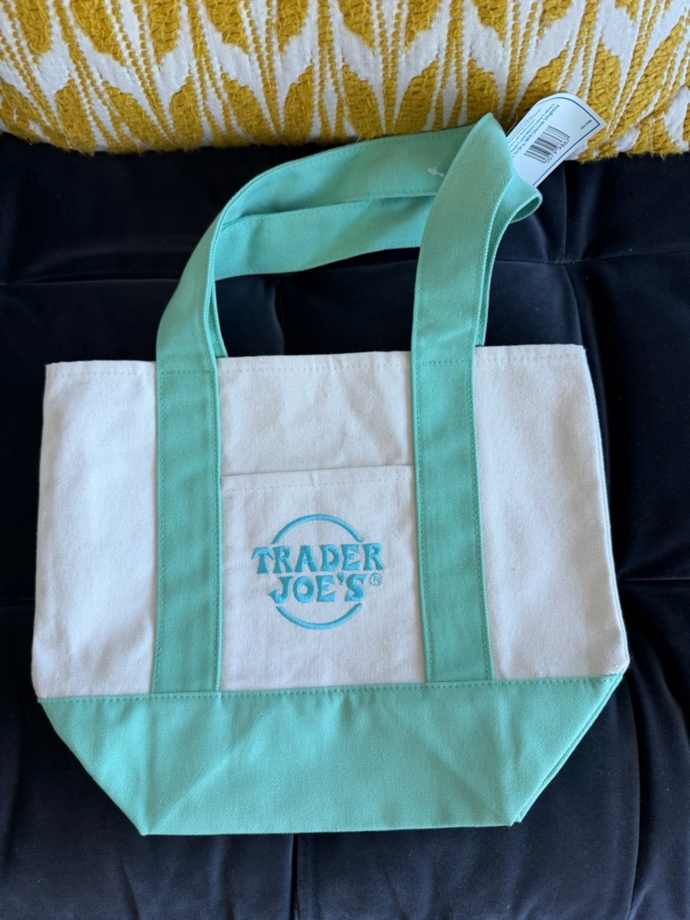 Trader Joe's Canvas Mini Tote Bag in Mint and Cream
